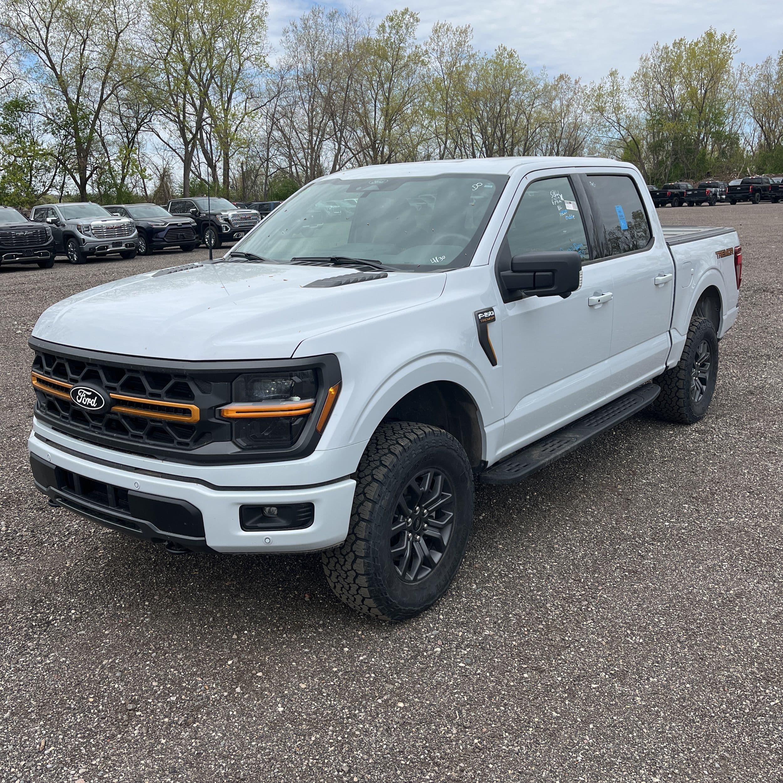 2025 Ford F-150 Crew Cab photo 1