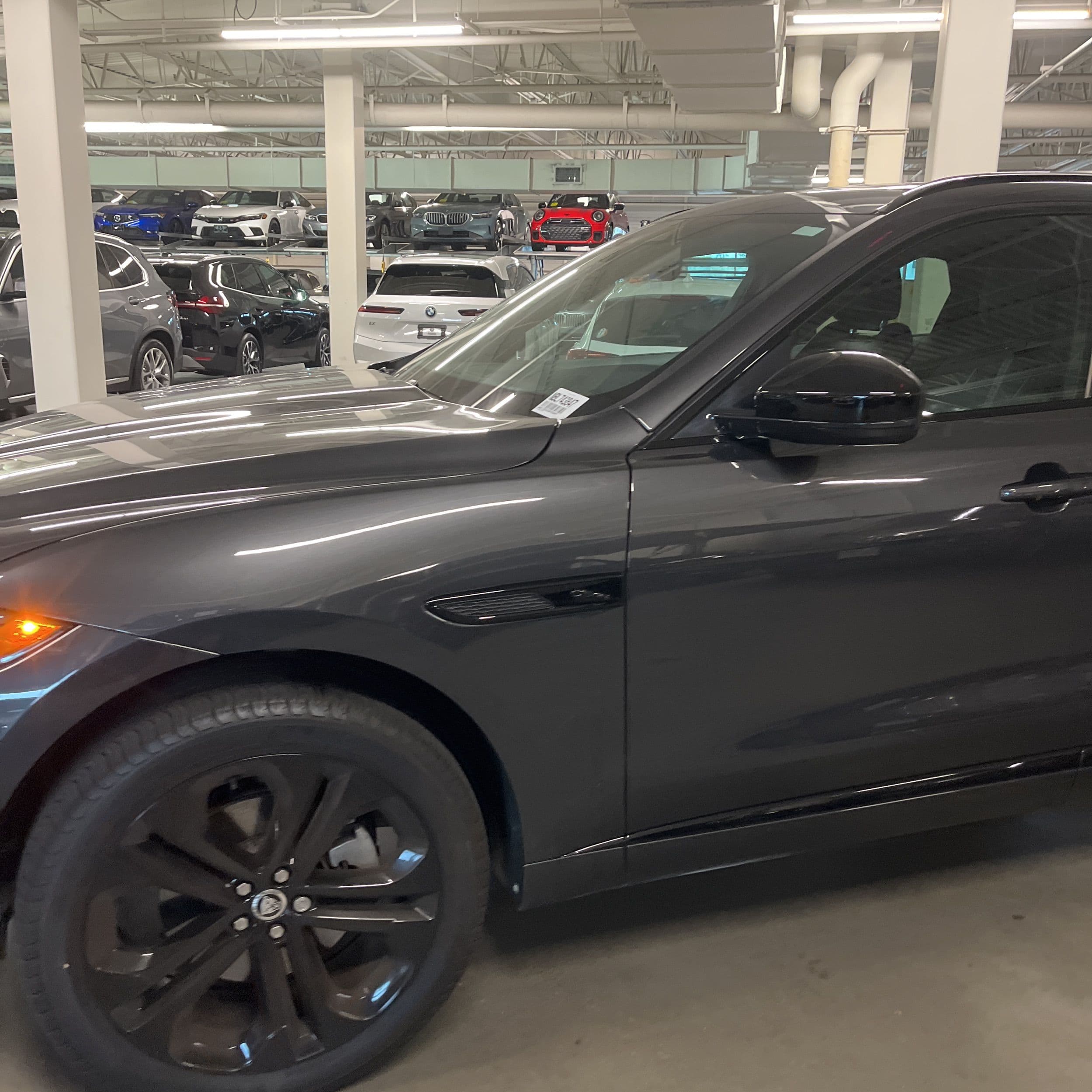 2025 Jaguar F-Pace P250 R-Dynamic S photo 1