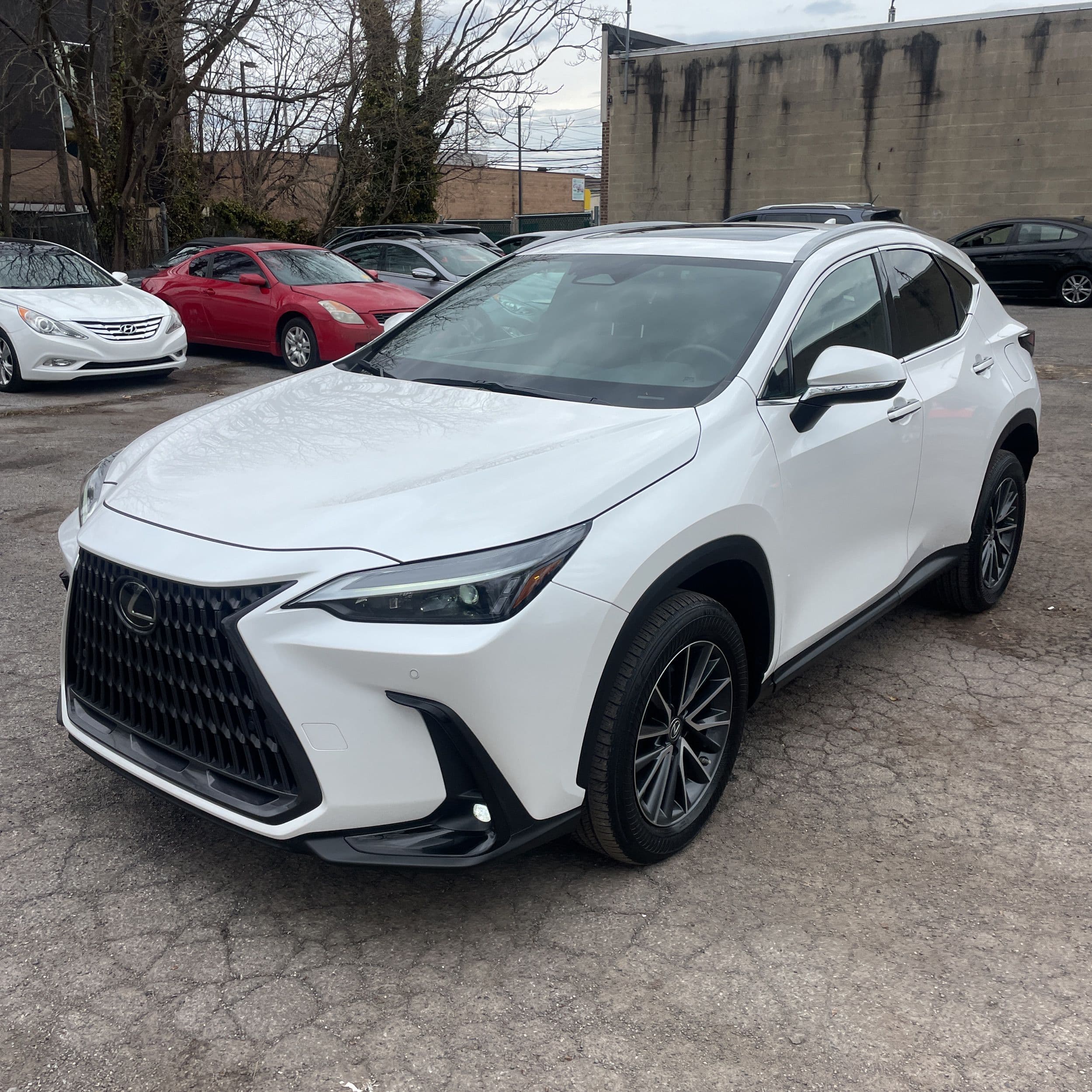 2023 Lexus NX 250 Premium photo 1